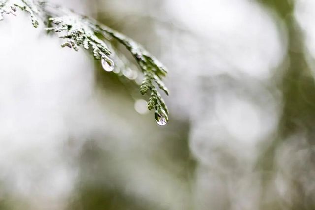 空氣濕度大帶來的危害有哪些，你知道嗎？