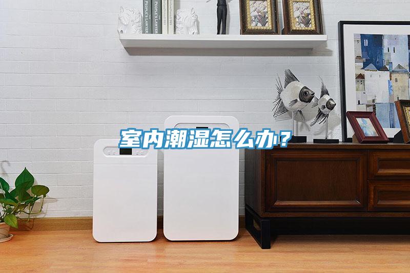室內潮濕怎麽辦？