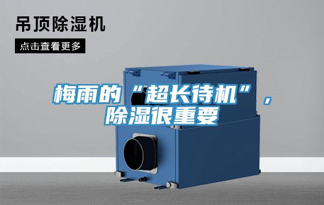 梅雨的“超長待機”，除濕很重要