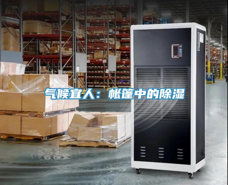 氣候宜人：帳篷中的除濕