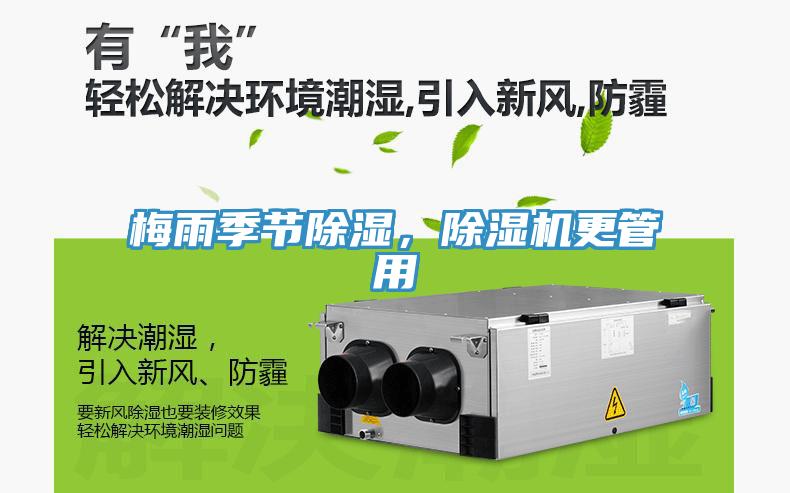 梅雨季節除濕，小黄片软件免费下载更管用