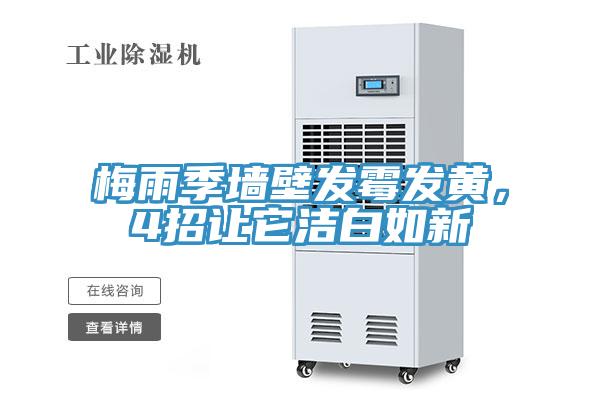 梅雨季牆壁發黴發黃，4招讓它潔白如新