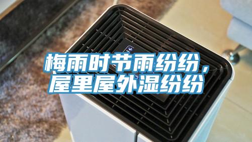 梅雨時節雨紛紛，屋裏屋外濕紛紛