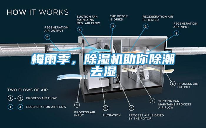 梅雨季，小黄片软件免费下载助你除潮去濕