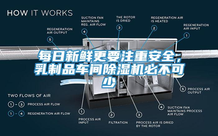 每日新鮮更要注重安全，乳製品車間小黄片软件免费下载必不可少