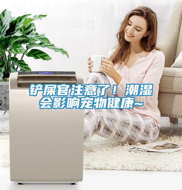 鏟屎官注意了！潮濕會影響寵物健康~