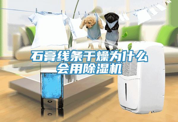 石膏線條幹燥為什麽會用小黄片软件免费下载