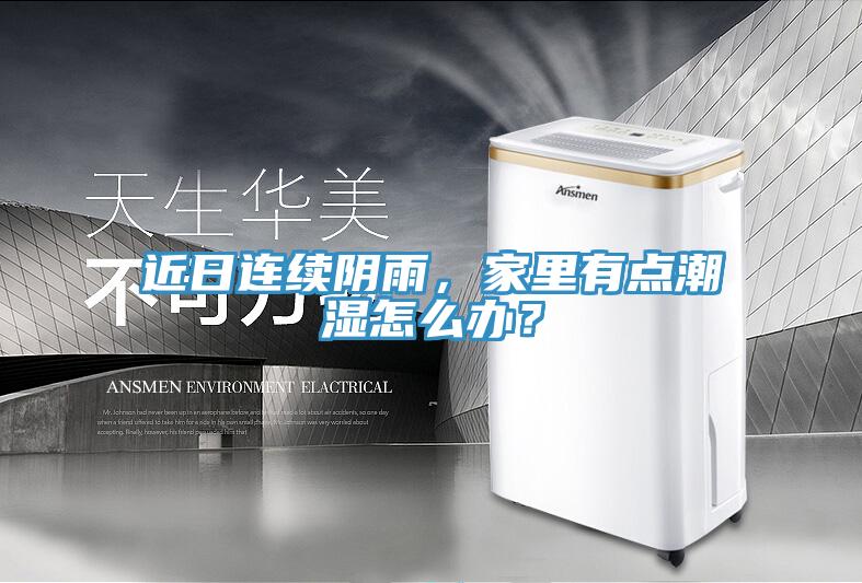 近日連續陰雨，家裏有點潮濕怎麽辦？