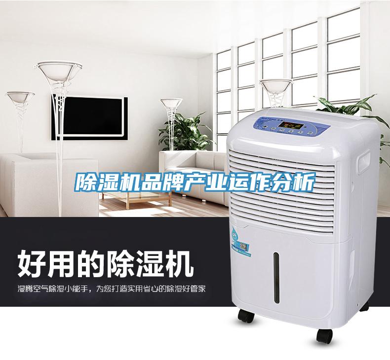 小黄片软件免费下载品牌產業運作分析