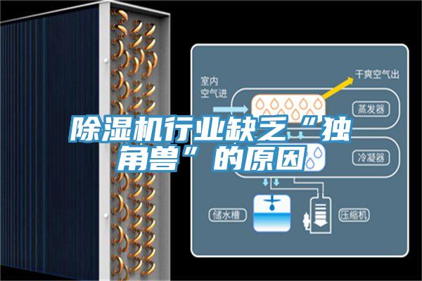 小黄片软件免费下载行業缺乏“獨角獸”的原因