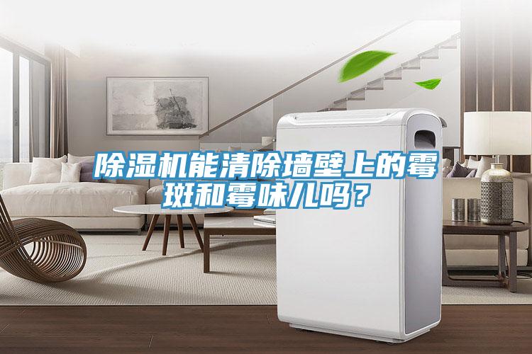 小黄片软件免费下载能清除牆壁上的黴斑和黴味兒嗎？