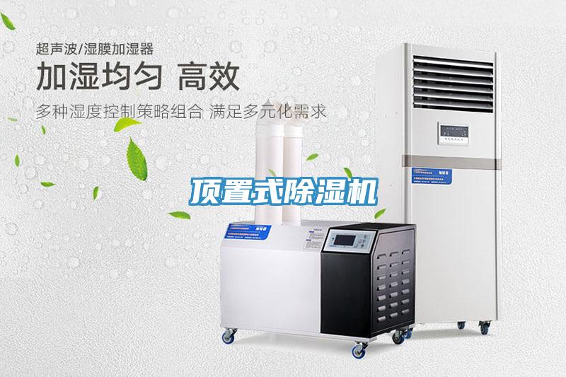 頂置式小黄片软件免费下载