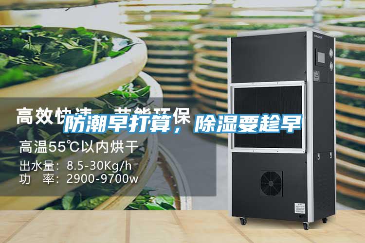 防潮早打算，除濕要趁早