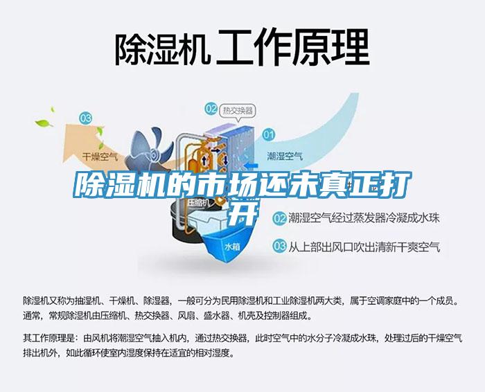 小黄片软件免费下载的市場還未真正打開