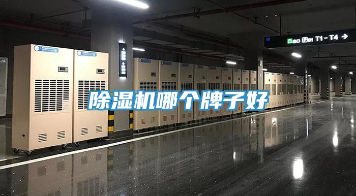 小黄片软件免费下载哪個牌子好