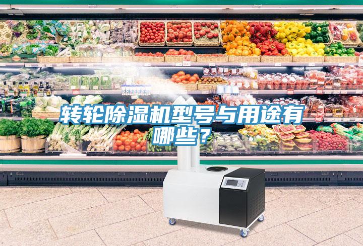 轉輪小黄片软件免费下载型號與用途有哪些？