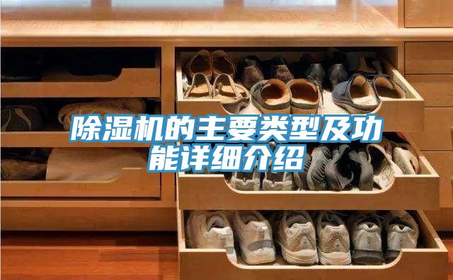 小黄片软件免费下载的主要類型及功能詳細介紹