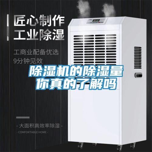 小黄片软件免费下载的除濕量你真的了解嗎