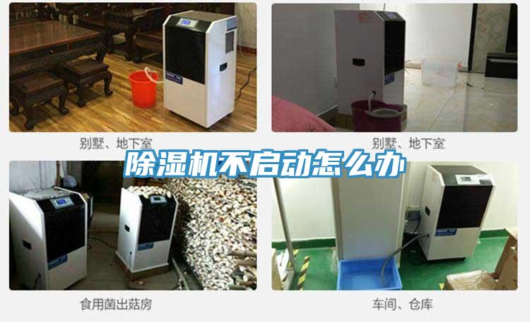 小黄片软件免费下载不啟動怎麽辦