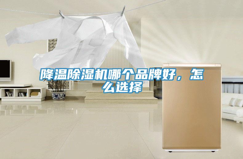 降溫小黄片软件免费下载哪個品牌好，怎麽選擇