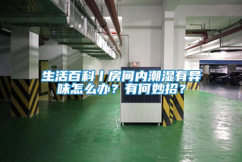 生活百科丨房間內潮濕有異味怎麽辦？有何妙招？