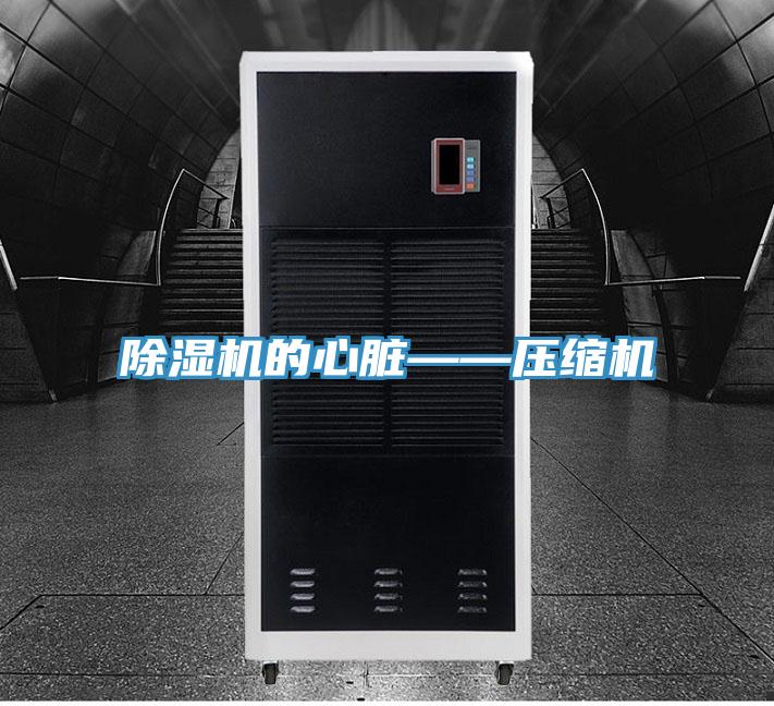 小黄片软件免费下载的心髒——壓縮機