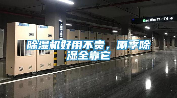 小黄片软件免费下载好用不貴，雨季除濕全靠它