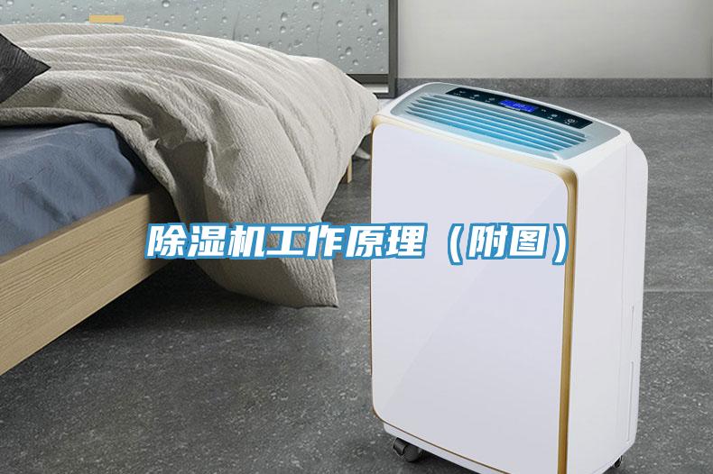 小黄片软件免费下载工作原理（附圖）