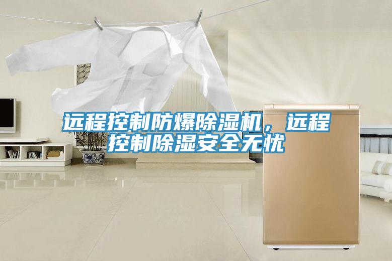 遠程控製防爆小黄片软件免费下载，遠程控製除濕安全無憂