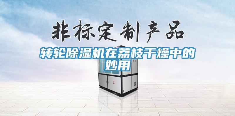 轉輪小黄片软件免费下载在荔枝幹燥中的妙用