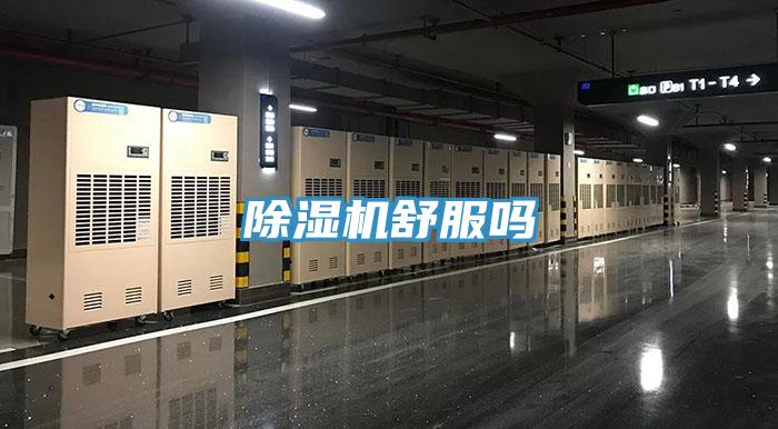 小黄片软件免费下载舒服嗎