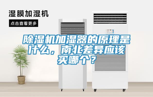 小黄片软件免费下载加濕器的原理是什麽，南北差異應該買哪個？