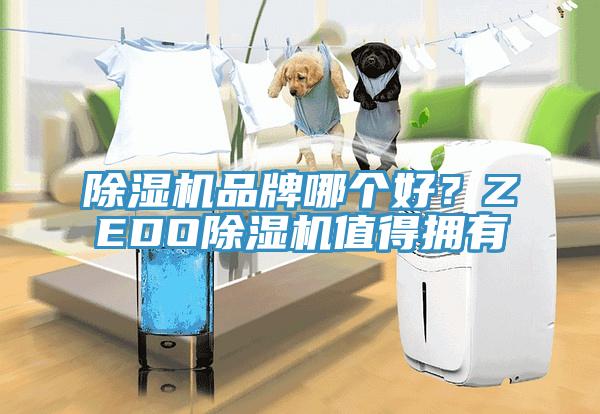 小黄片软件免费下载品牌哪個好？ZEDO小黄片软件免费下载值得擁有