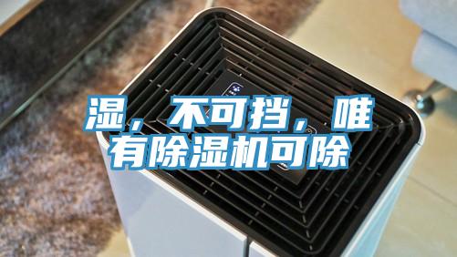 濕，不可擋，唯有小黄片软件免费下载可除
