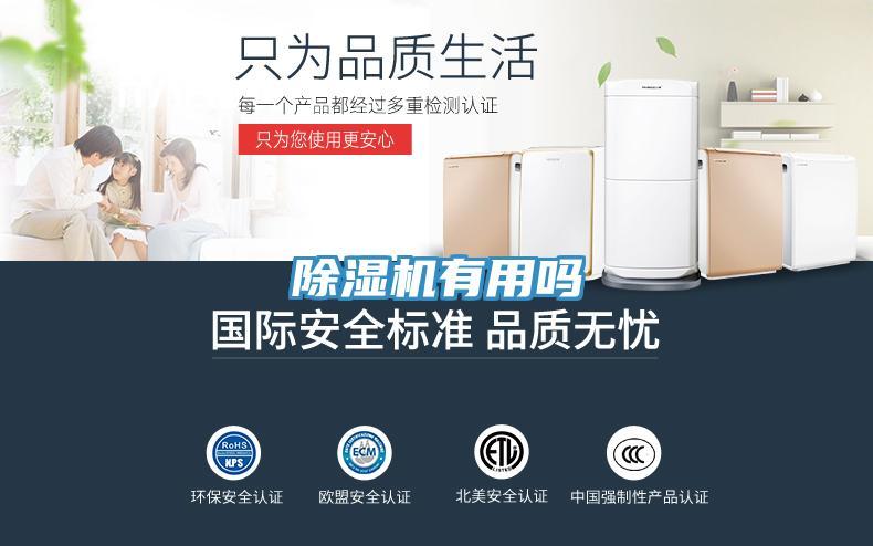 小黄片软件免费下载有用嗎