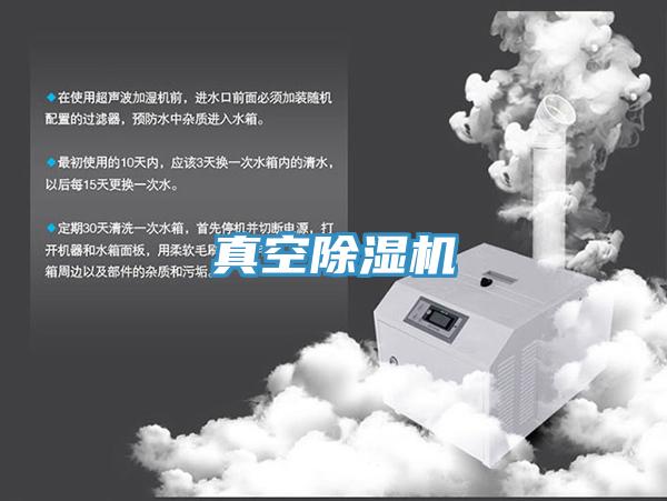 真空小黄片软件免费下载