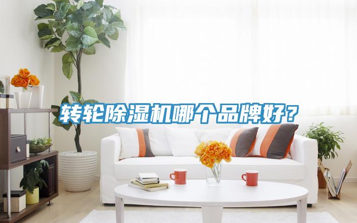 轉輪小黄片软件免费下载哪個品牌好？