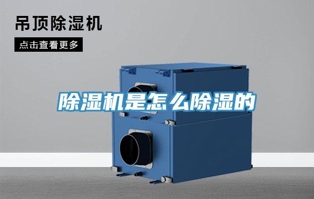 小黄片软件免费下载是怎麽除濕的