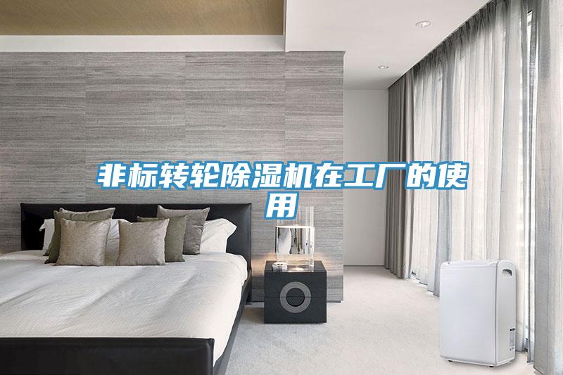 非標轉輪小黄片软件免费下载在工廠的使用