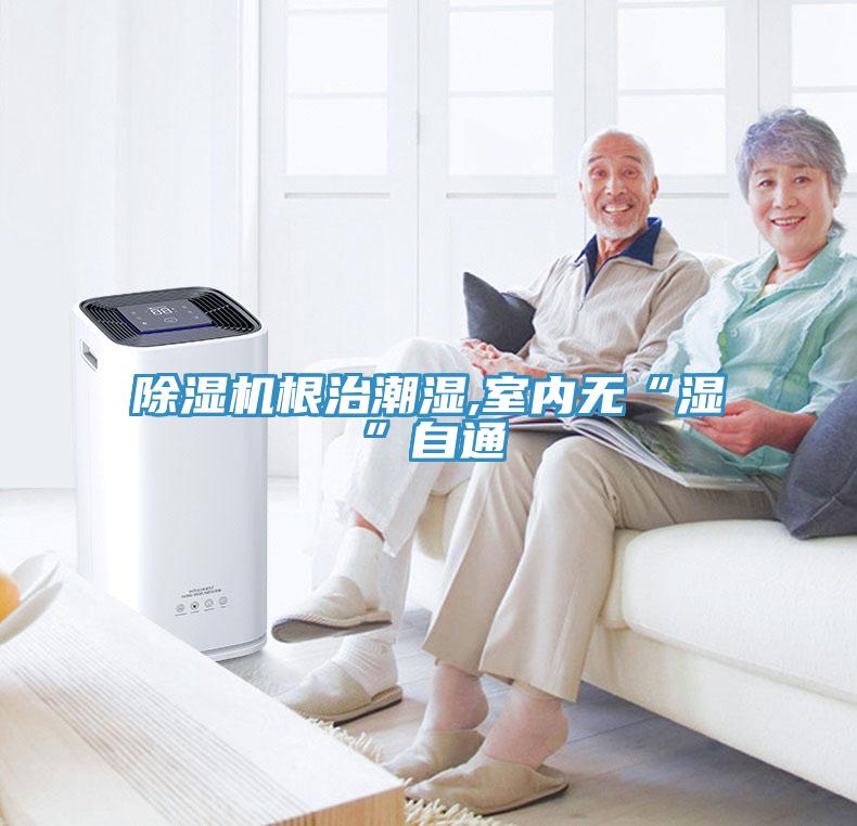 小黄片软件免费下载根治潮濕,室內無“濕”自通
