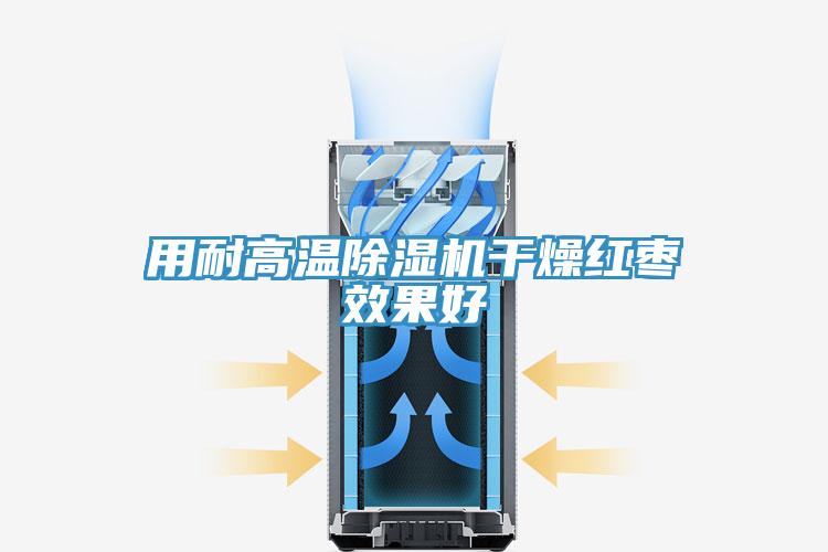 用耐高溫小黄片软件免费下载幹燥紅棗效果好