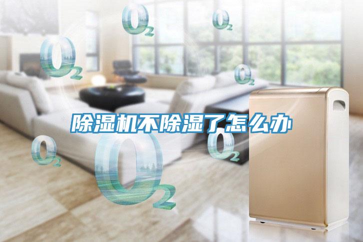 小黄片软件免费下载不除濕了怎麽辦