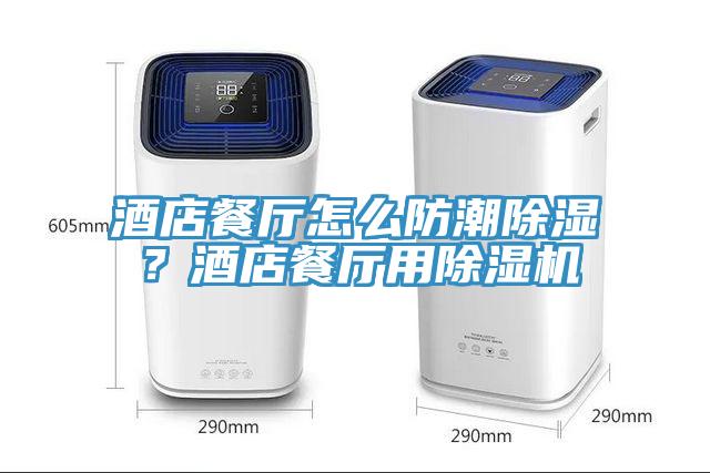 酒店餐廳怎麽防潮除濕？酒店餐廳用小黄片软件免费下载