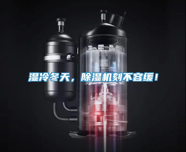 濕冷冬天，小黄片软件免费下载刻不容緩！