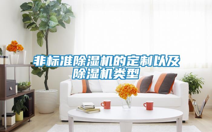 非標準小黄片软件免费下载的定製以及小黄片软件免费下载類型