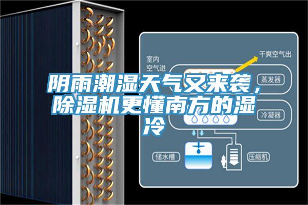 陰雨潮濕天氣又來襲，小黄片软件免费下载更懂南方的濕冷