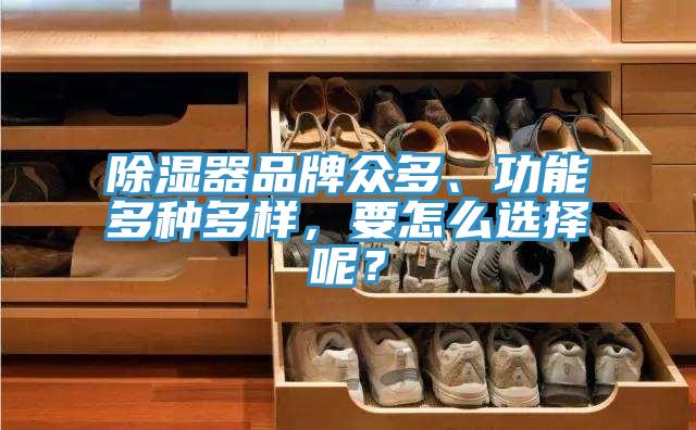 除濕器品牌眾多、功能多種多樣，要怎麽選擇呢？