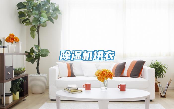 小黄片软件免费下载烘衣