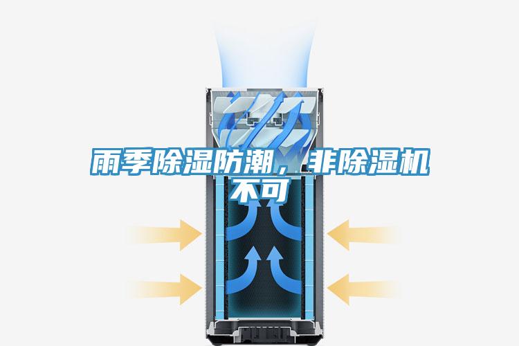 雨季除濕防潮，非小黄片软件免费下载不可