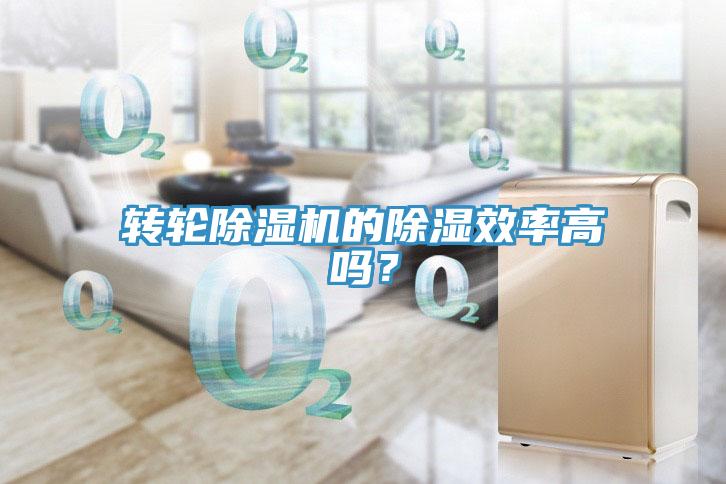 轉輪小黄片软件免费下载的除濕效率高嗎？
